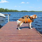 Dog Life Jacket with Reflective Stripes Yellow XL