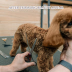 Professional Dog Grooming Scissors Kit, 6 in 1 with Safety Round Tips, 4CR Stainless Steel & Heavy-duty, Sharp & Study Pet Grooming Shears Kit for Dogs Cats