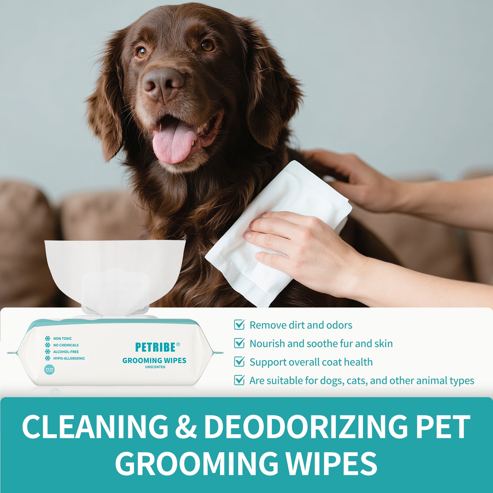 PETRIBE Dog Grooming Wipes, Pet Wipes for Paws, Body & Butt, Cleaning & Hydrating, Coconut Scented, 200-Count