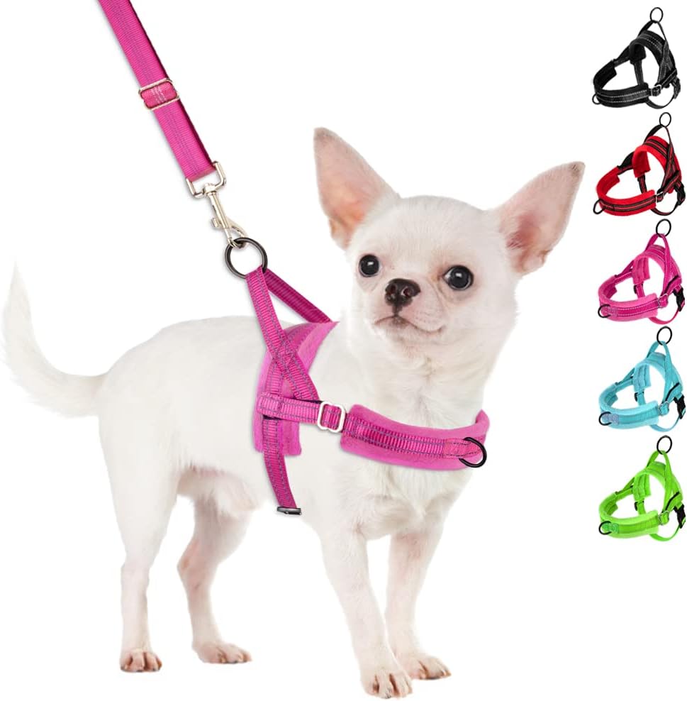 Dog Harness and Leash Combo