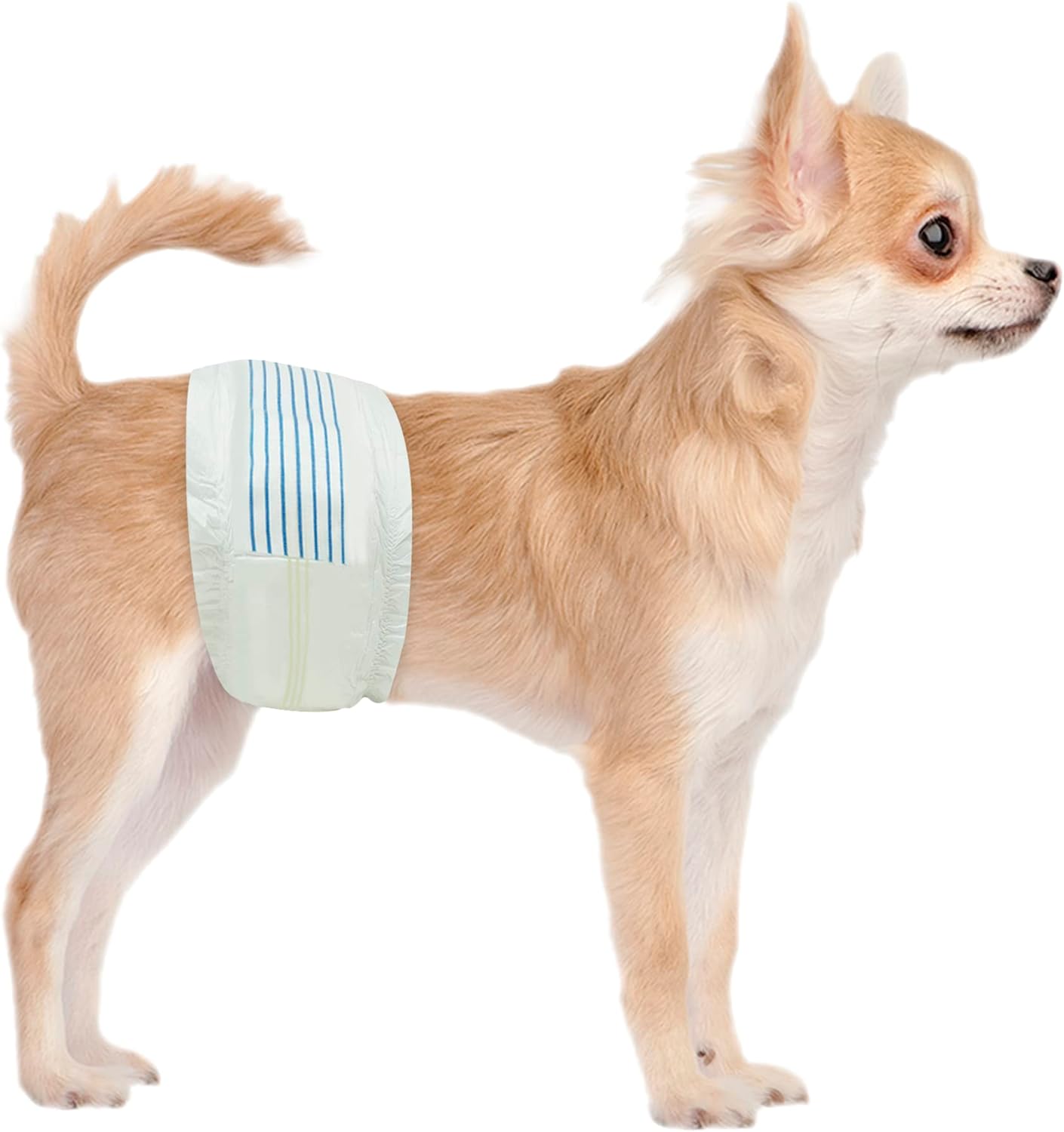 Male Dog Diapers,30 Count,15.3*7.5*0.2in