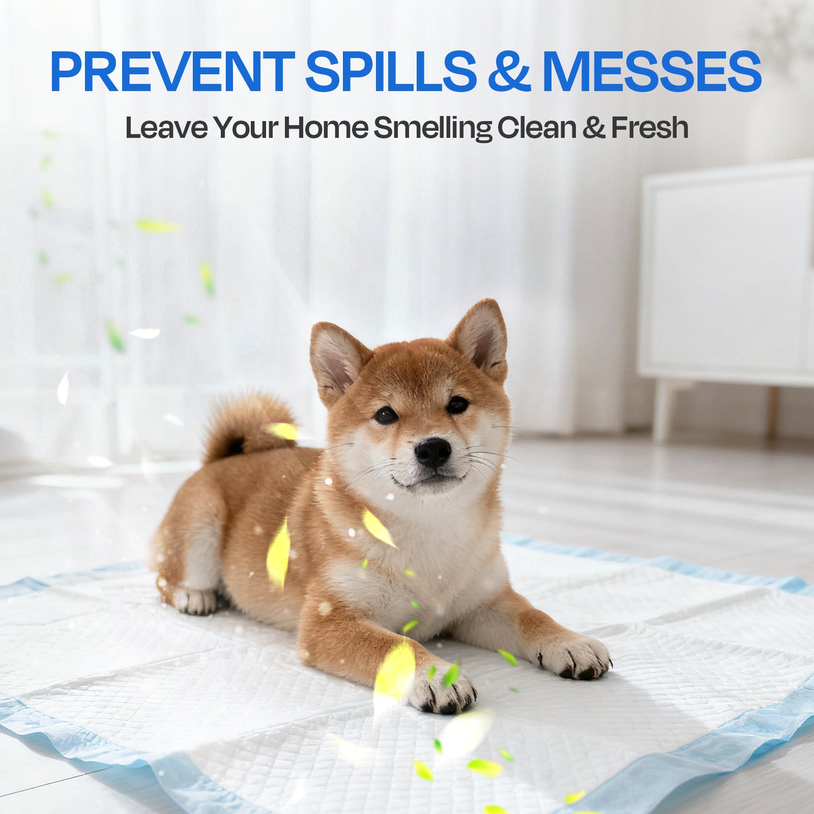 PETRIBE 75-Pack Puppy Pads - 30'' x 26'' Pee Pads for Dogs Potty Training with Super Absorbent & Leak-Proof Quick-Dry Design, 6-Layer Pads for Dogs, Blue