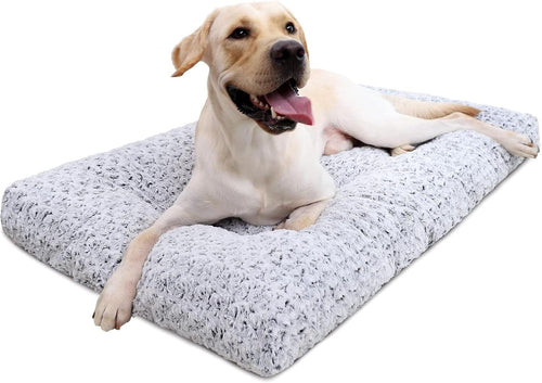 Dog Bed