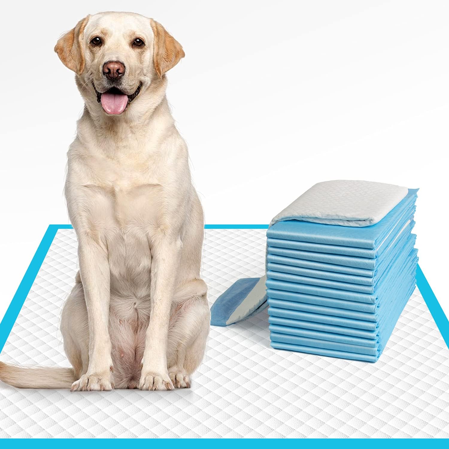 50Count 22*22in Dog and Puppy Pee Pads