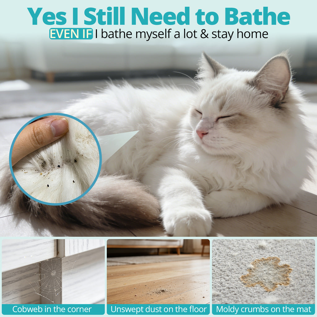 PETRIBE Cat Waterless Shampoo, No Rinse Dry Bath Foam, Hypoallergenic & Detangling, Odor Control,Vet-Recommended for Kittens/Cats